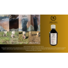 Skin Shield olej ziołowy do wcierania na skórę dla koni chorych na Lipcówkę.