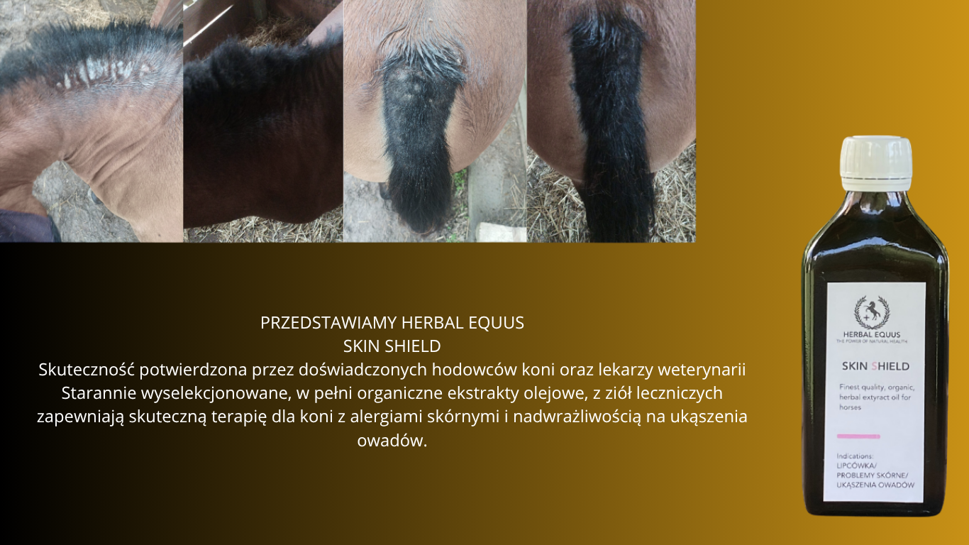 PRZEDSTAWIAMY HERBAL EQUUS SKIN SHIELD  Skuteczność potwierdzona przez doświadczonych hodowców koni oraz lekarzy weterynarii Starannie wyselekcjonowane, w pełni organiczne ekstrakty olejowe, z ziół leczniczych zapewniają skuteczną terapię dla koni z alergiami skórnymi i nadwrażliwością na ukąszenia owadów.